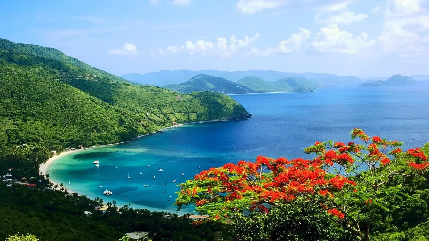 高性能自动化高精度
